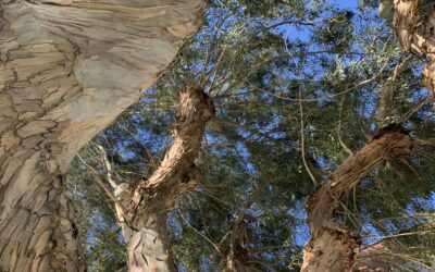 Prendre conscience de nos attentes