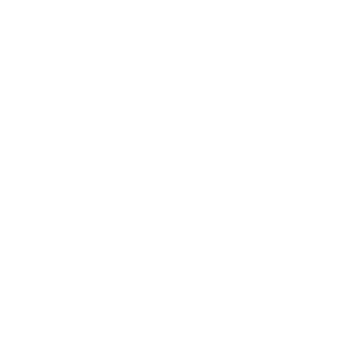 coaching professionnel