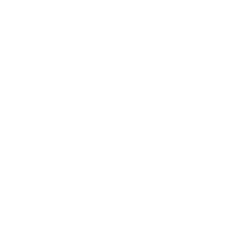 Supervision professionnelle @coaching